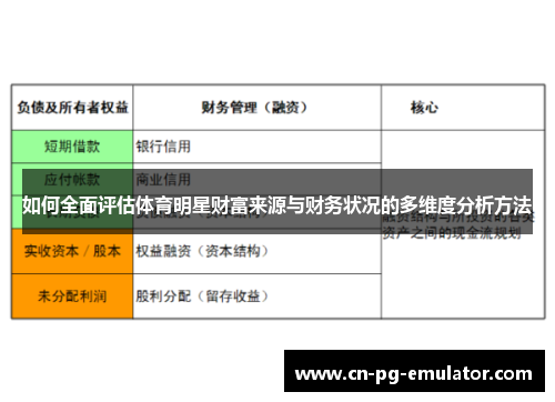 如何全面评估体育明星财富来源与财务状况的多维度分析方法