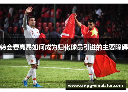 转会费高昂如何成为归化球员引进的主要障碍 转会费高昂如何成为归化球员引进的主要障碍