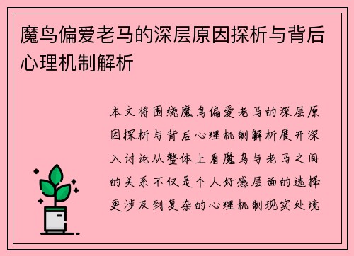 魔鸟偏爱老马的深层原因探析与背后心理机制解析